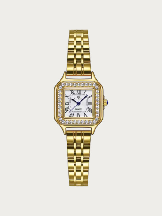 MONTRE RAÏNA